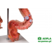 model chorób jelit 3b smart anatomy kat. 1008496 k55 3b scientific modele anatomiczne 5